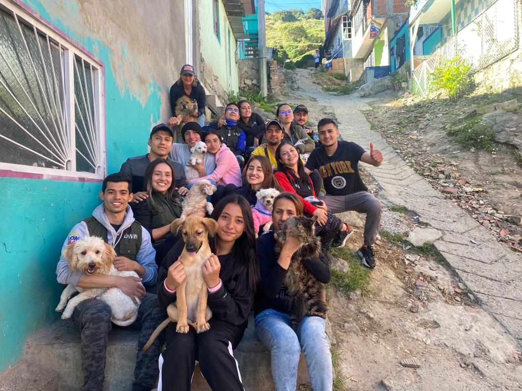 Protección de mascotas